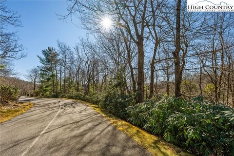 Photo of Lot 61 Boone Coffey Trail, Boone, NC 28607 (MLS # 259186)