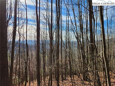 Photo of 6900 Mertie Road, Millers Creek, NC 28651 (MLS # 247433) Photo of 6900 Mertie Road, Millers Creek, NC 28651 (MLS # 247433)