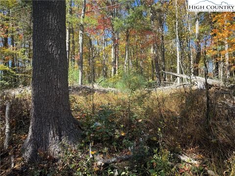 Photo of TBD Oak Tree Lane, Jefferson, NC 27640 (MLS # 258676)