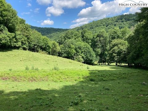 Photo of TBD Cobbs Creek Road, Boone, NC 28607 (MLS # 240717)