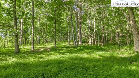 Photo of TBD River Stone Drive, Laurel Springs, NC 28644 (MLS # 257483)