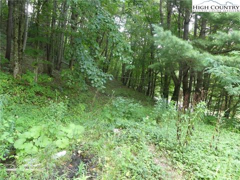 Photo of 200 Pottertown Road, Todd, NC 28684 (MLS # 245540)