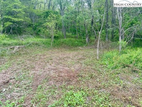 Photo of TBD NC Hwy 163, West Jefferson, NC 28643 (MLS # 259187)