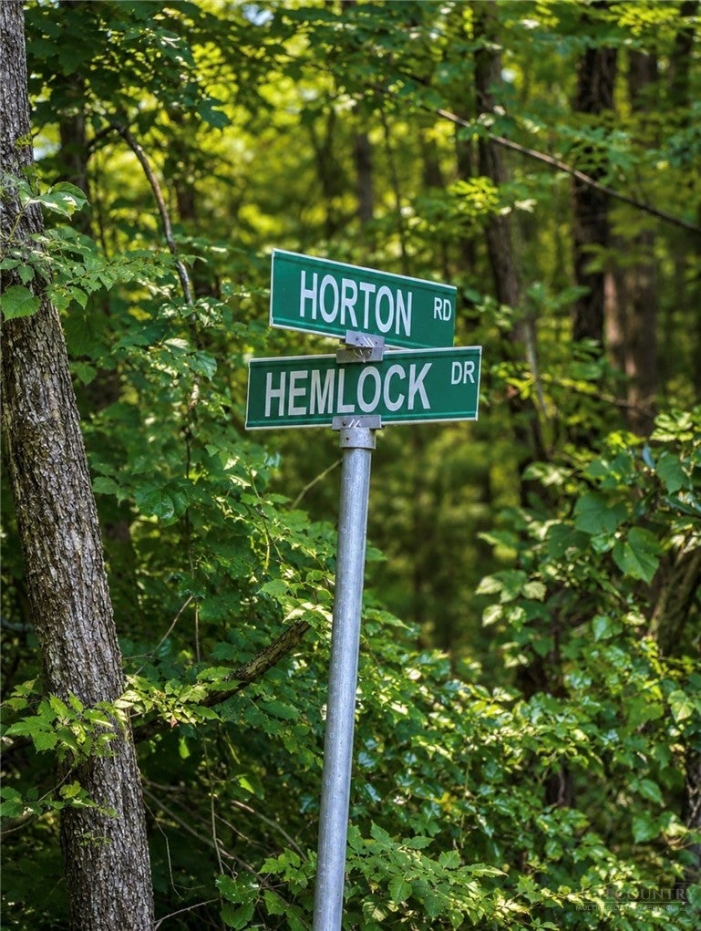 TBD Hemlock