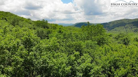 Photo of 1715 Forest Ridge Drive #17, Linville, NC 28646 (MLS # 255047)