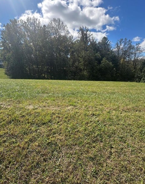 Photo of Lot 218 Canterbury Drive, North Wilkesboro, NC 28659 (MLS # 265070)
