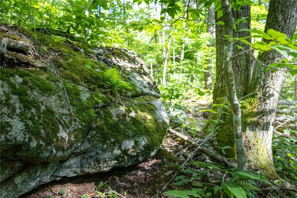 Photo of G14 Great Camp Trail, Banner Elk, NC 28604 (MLS # 262541)