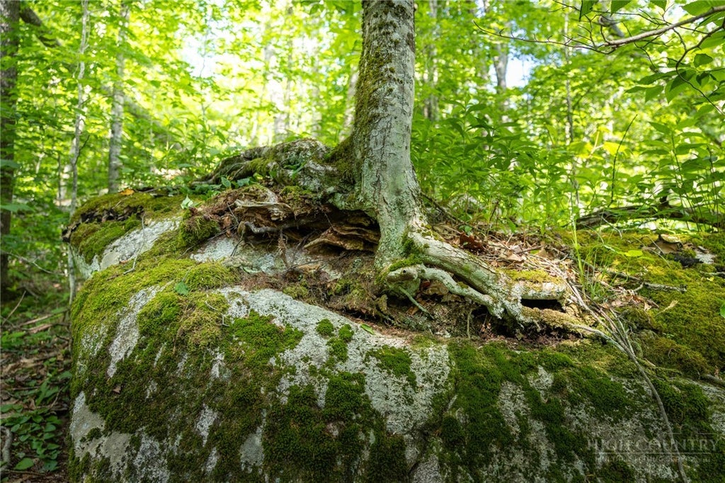 Photo of G14 Great Camp Trail, Banner Elk, NC 28604 (MLS # 262541)