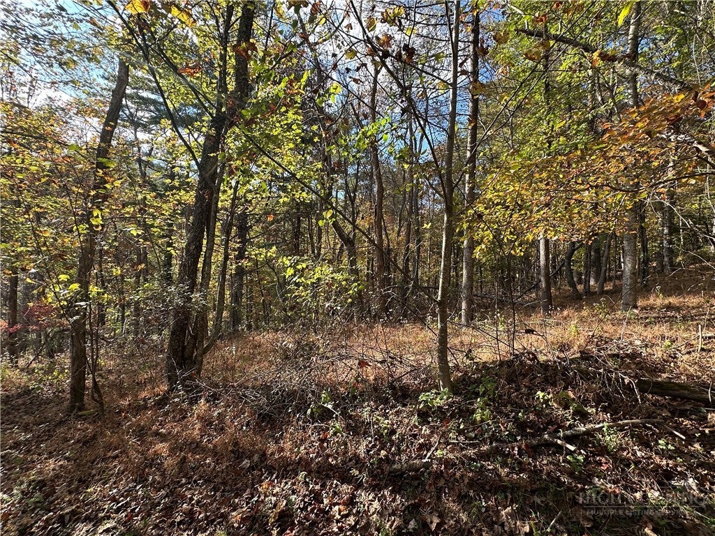 TBD (Lot 40) River Front Drive