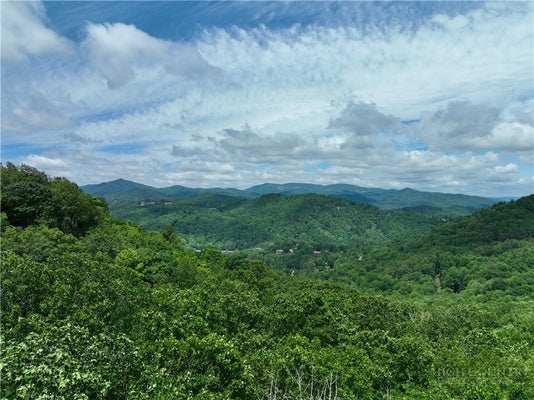TBD COTTONWOOD, BOONE, NC 28607 - Image 1289b6500a6045acd9a4ae3fe221fd27/1815920328