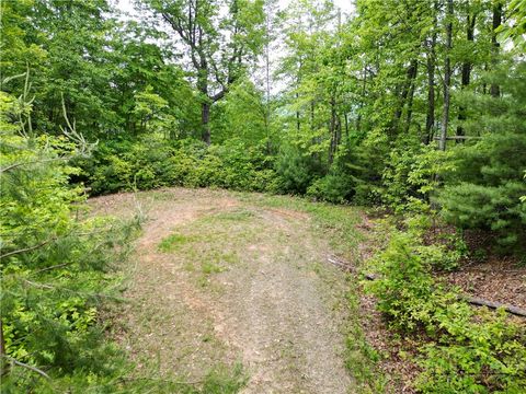 Photo of 47 ELKHORN PH 4 L 47 Road, Ferguson, NC 28624 (MLS # 261444)