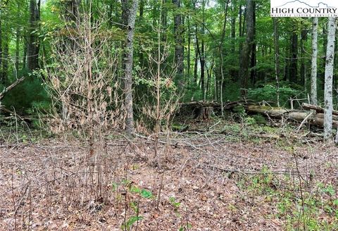 Photo of TBD Oak Tree Lane, Jefferson, NC 27640 (MLS # 259177)