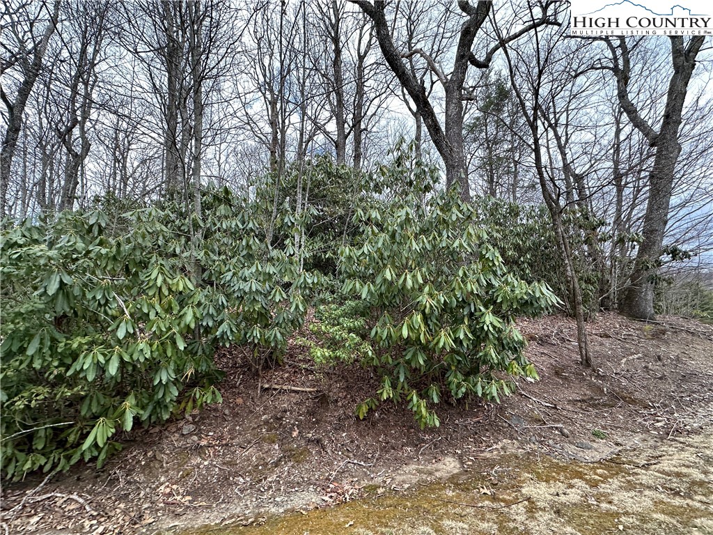 Blowing Rock, North Carolina 28605, United States, ,Land,Pending,180391