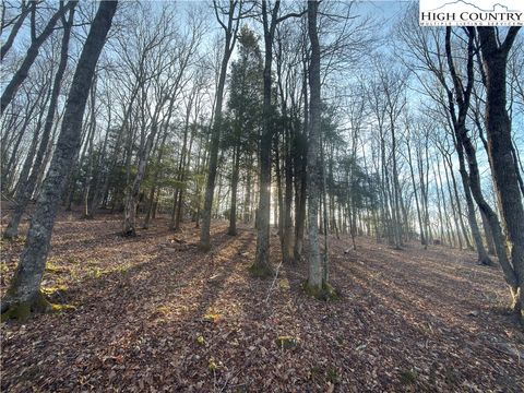 Photo of TBD Linwood Lane, Newland, NC 28657 (MLS # 259829)
