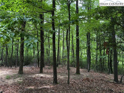Photo of Lot 215 Casey Mountain Road, Purlear, NC 28665 (MLS # 256408)