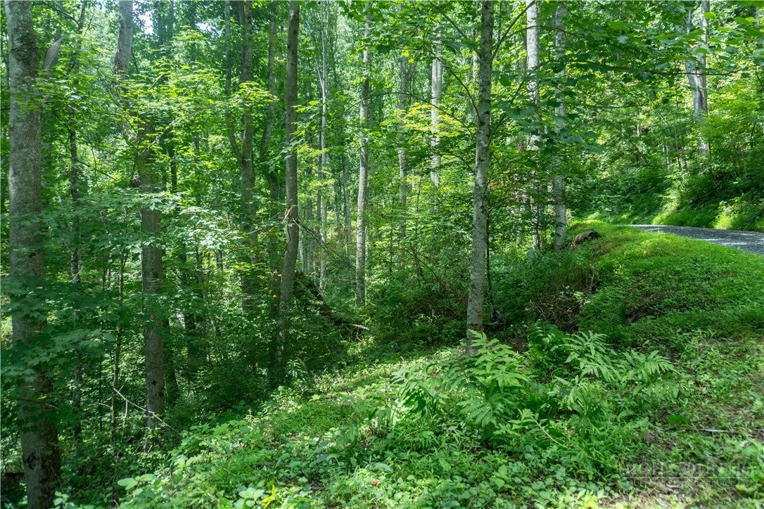 Lot 4 Stonegate Lane