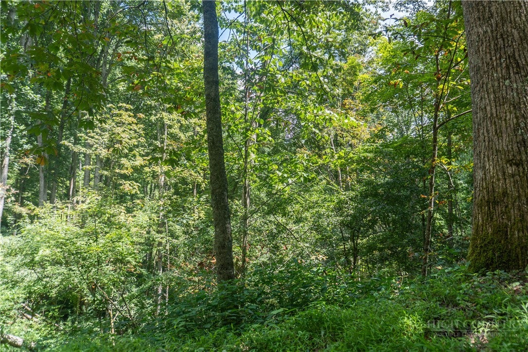 Lot 4 Stonegate Lane