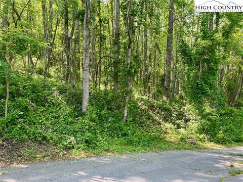 Photo of TBD Valley Stran Drive, Boone, NC 28607 (MLS # 255965)