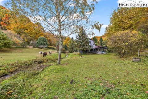 Photo of 2450 NC HWY 88, Zionville, NC 28698 (MLS # 240308)