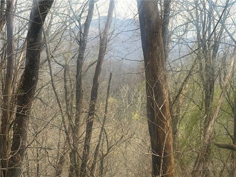 Photo of TBD Lot 48 Rainbow Ridge, Zionville, NC 28698 (MLS # 261193)