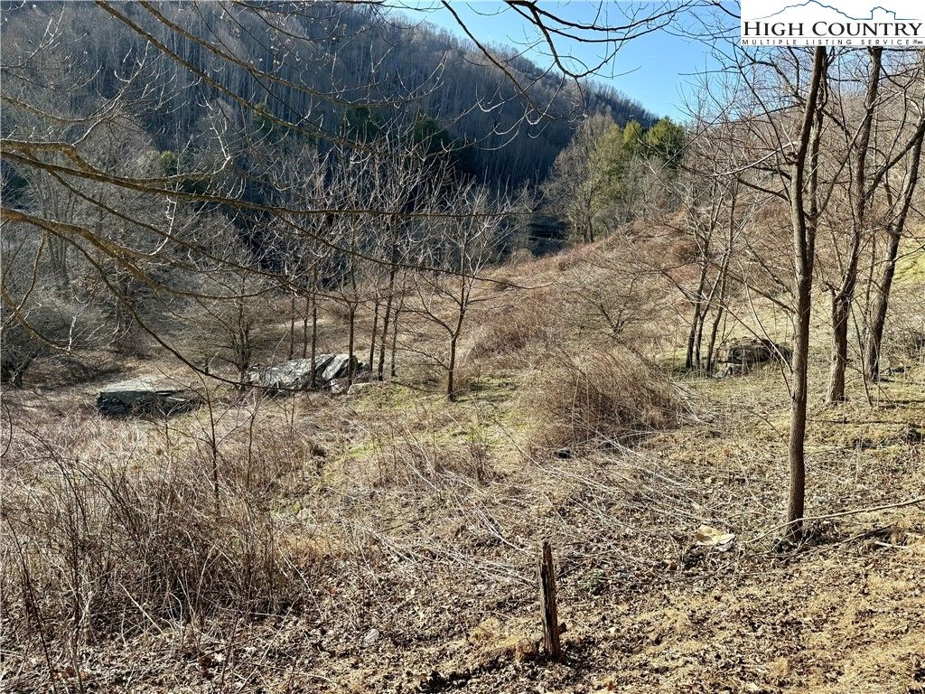 Photo of TBD Willard Johnson Road, Vilas, NC 28692 (MLS # 260044)