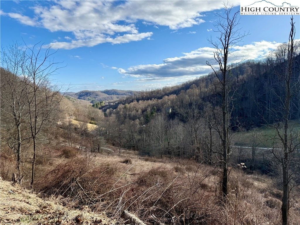 Photo of TBD Willard Johnson Road, Vilas, NC 28692 (MLS # 260044)