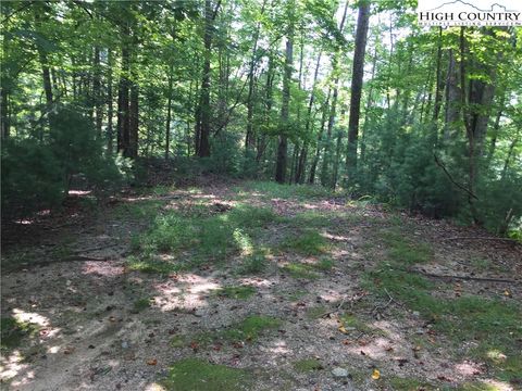 Photo of TBD Elk Ridge Road, Deep Gap, NC 28618 (MLS # 245792)