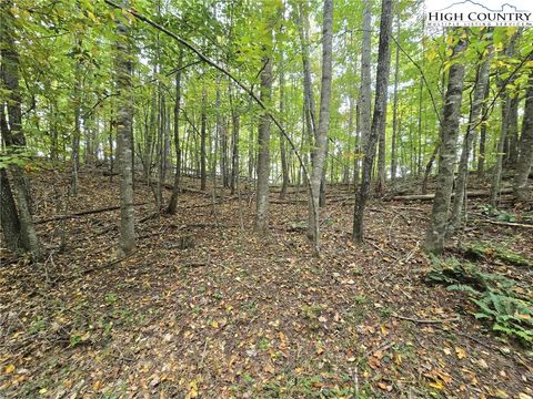 Photo of TBD Parsons Hill Road, Lansing, NC 28643 (MLS # 258215)