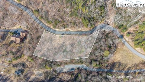 Photo of Lot 46 Falls Creek Parkway, Elk Park, NC 28622 (MLS # 253967)
