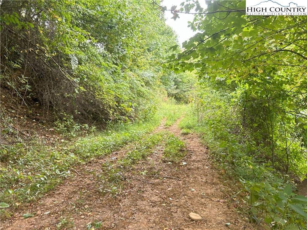 Zionville, North Carolina 28698, United States, 3 Bedrooms Bedrooms, ,3 BathroomsBathrooms,Residential,Active,43537