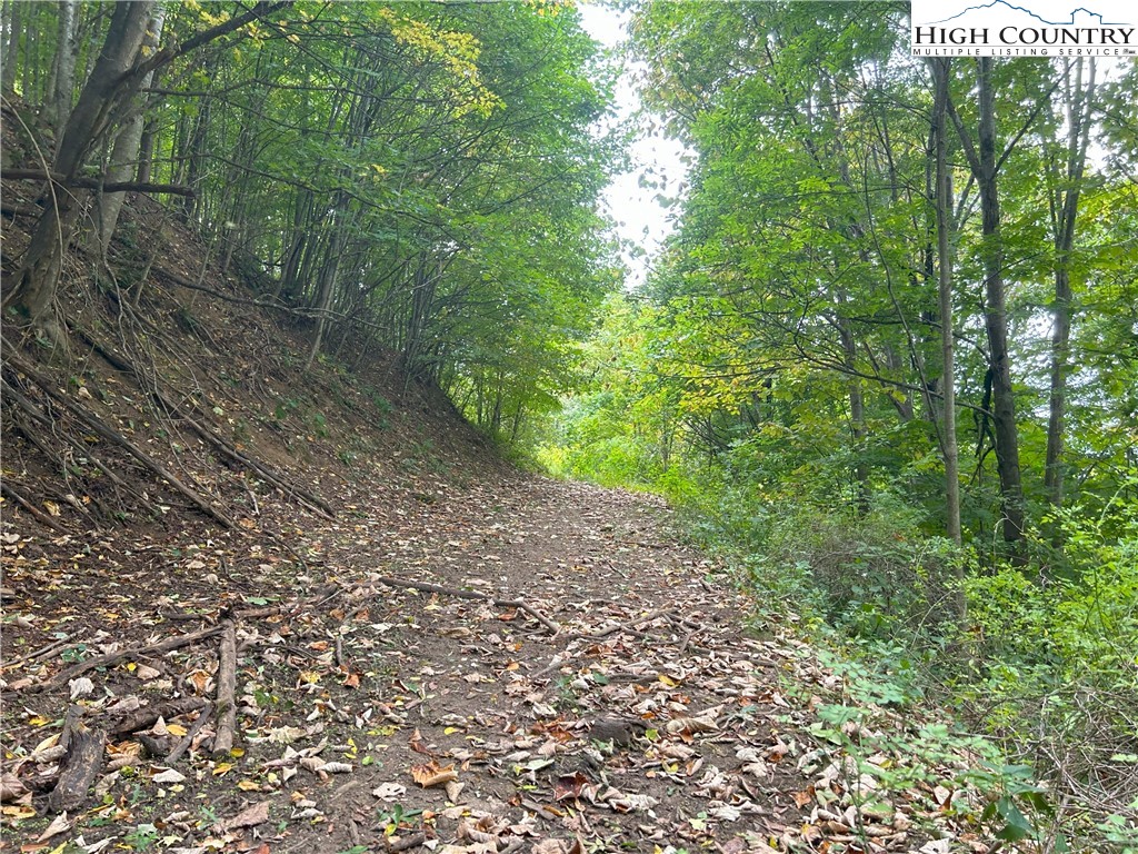 Zionville, North Carolina 28698, United States, 3 Bedrooms Bedrooms, ,3 BathroomsBathrooms,Residential,Active,43537