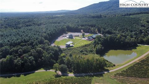 Photo of 964 Old Railroad Grade Rd Rd, Thurmond, NC 28683 (MLS # 258960)