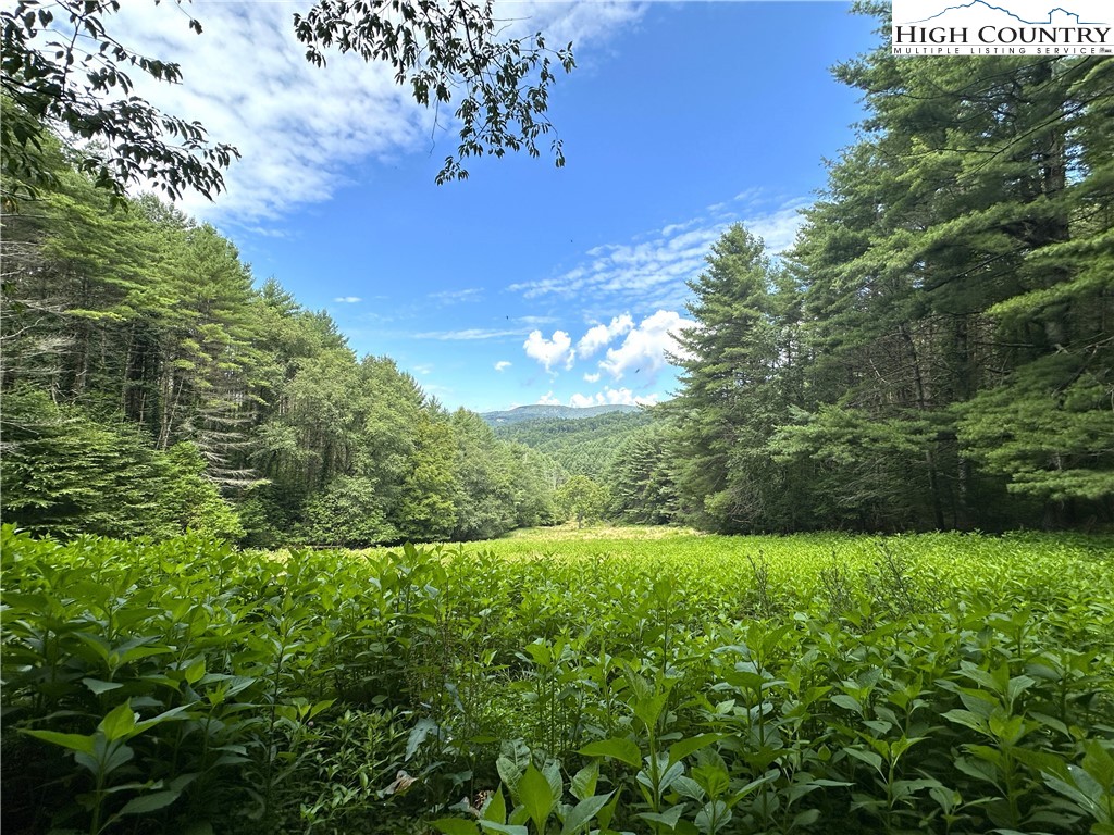 Sugar Grove, North Carolina 28679, United States, 2 Bedrooms Bedrooms, ,1 BathroomBathrooms,Residential,Active,243250