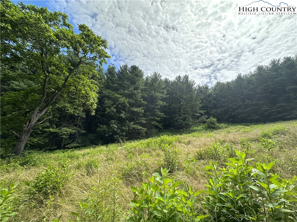 Sugar Grove, North Carolina 28679, United States, 2 Bedrooms Bedrooms, ,1 BathroomBathrooms,Residential,Active,243250