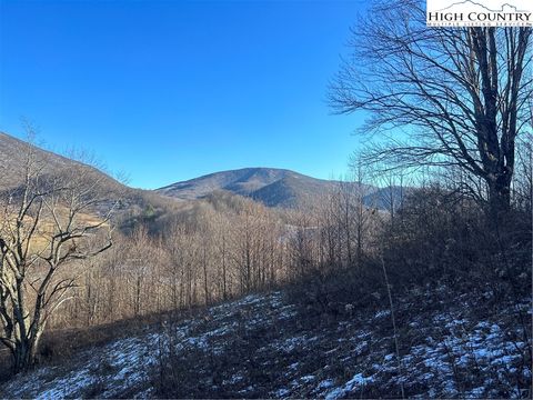 Photo of 8173 Old US Highway 421, Zionville, NC 28698 (MLS # 259632)