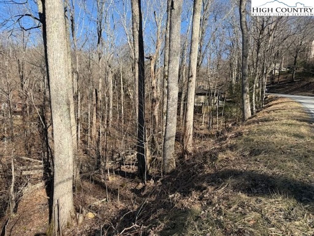 Photo of Lot 42 Cross Park Drive, Banner Elk, NC 28604 (MLS # 260070)