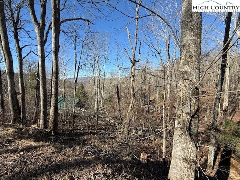 Photo of Lot 42 Cross Park Drive, Banner Elk, NC 28604 (MLS # 260070)