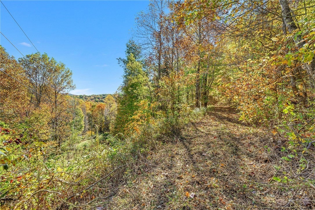 TBD Windy Hollow Trail