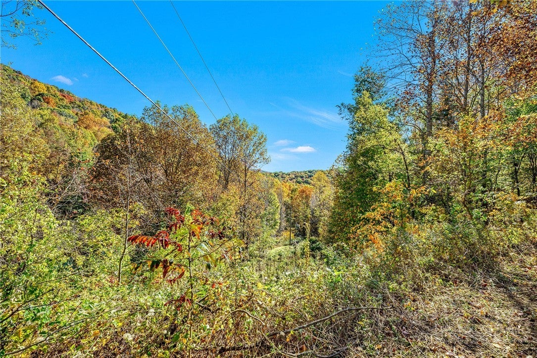 TBD Windy Hollow Trail