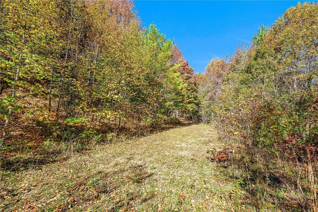 TBD Windy Hollow Trail