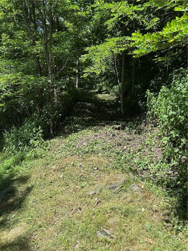 TBD Little Tree Road