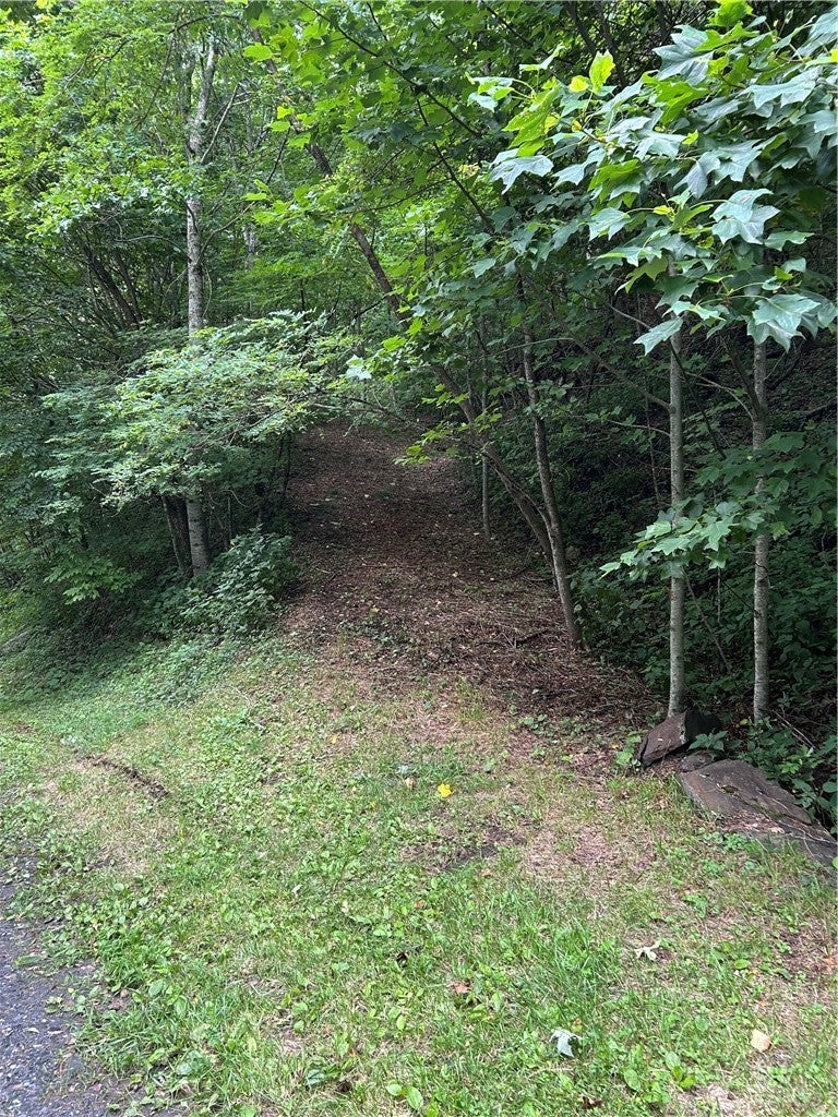 TBD Little Tree Road