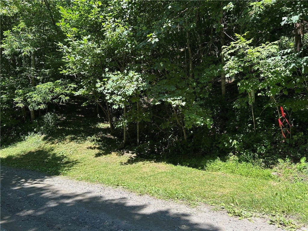 TBD Little Tree Road