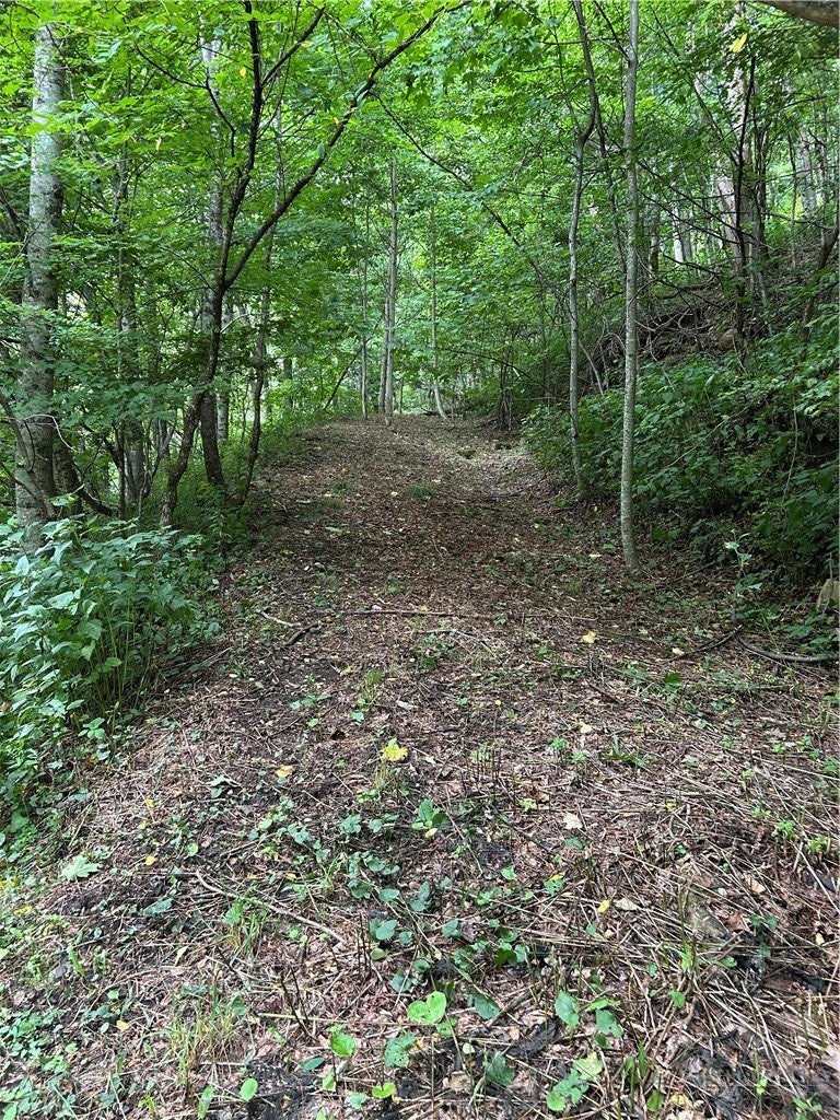 TBD Little Tree Road