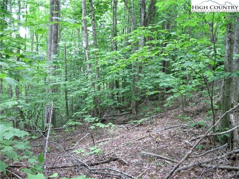 Photo of 120 SASSAFRASS RD Rd, Beech Mountain, NC 28604 (MLS # 257486)
