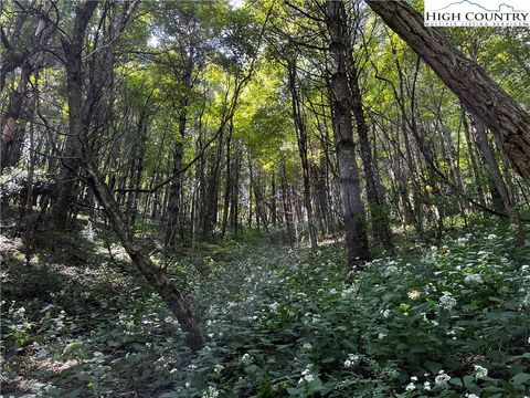 Photo of TBD Milton Moretz Road, Boone, NC 28607 (MLS # 245648)