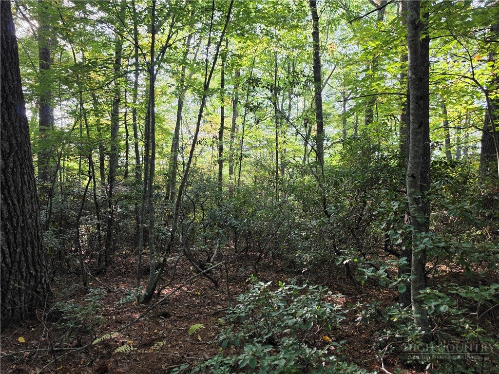 TBD Off Windy Acres Ridge Road
