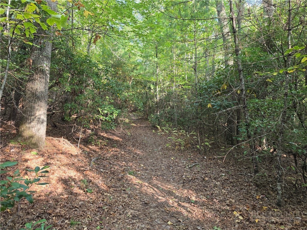 TBD Off Windy Acres Ridge Road