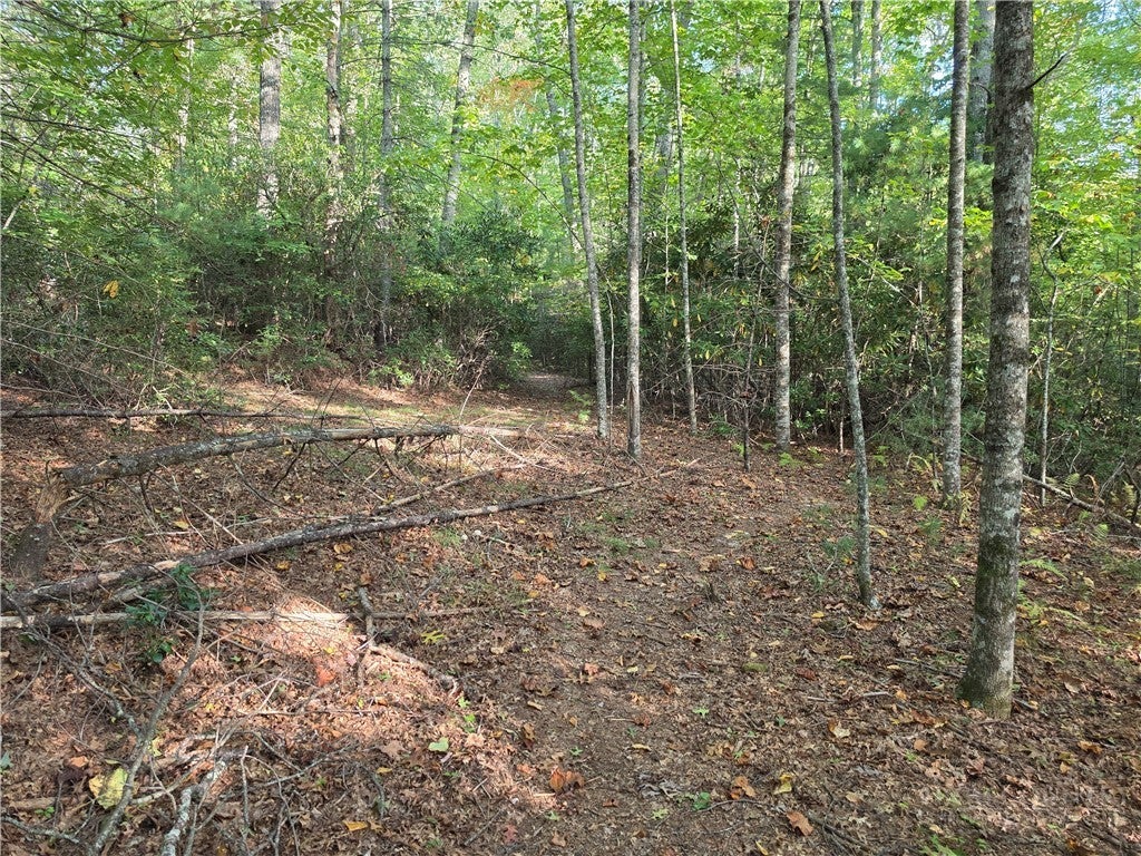 TBD Off Windy Acres Ridge Road