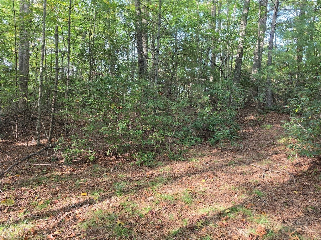 TBD Off Windy Acres Ridge Road